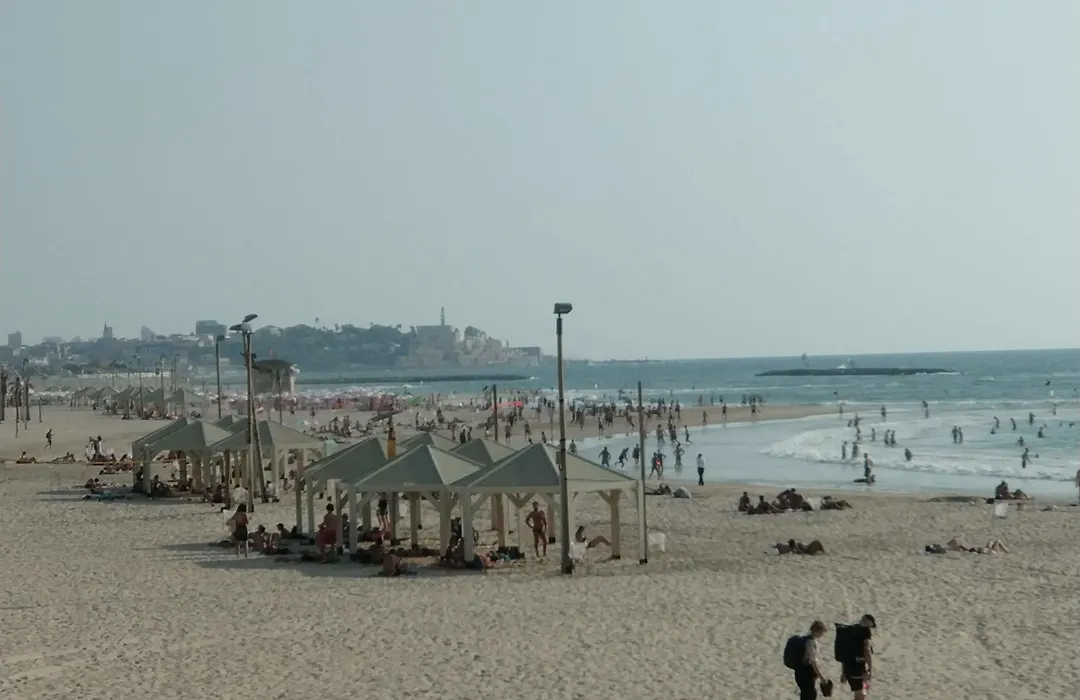 Reines5 Tlv-1